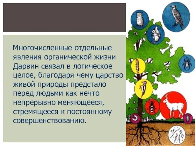 Многочисленные отдельные явления органической жизни Дарвин связал в логическое целое, благодаря чему