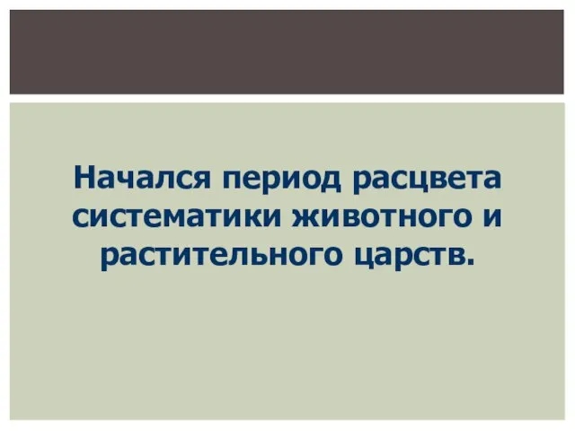 Начался период расцвета систематики животного и растительного царств.