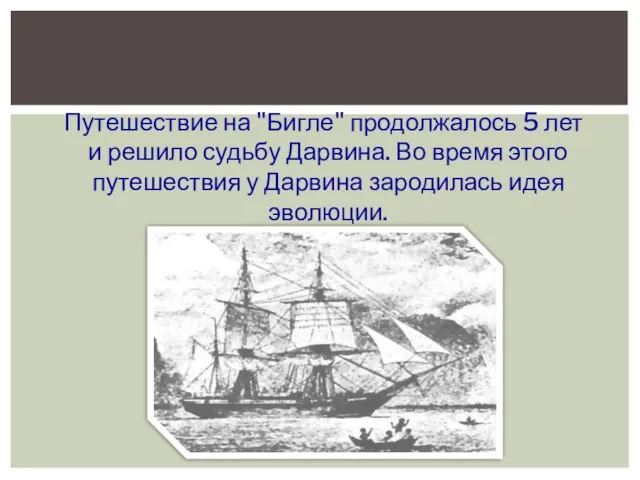 Путешествие на "Бигле" продолжалось 5 лет и решило судьбу Дарвина. Во время