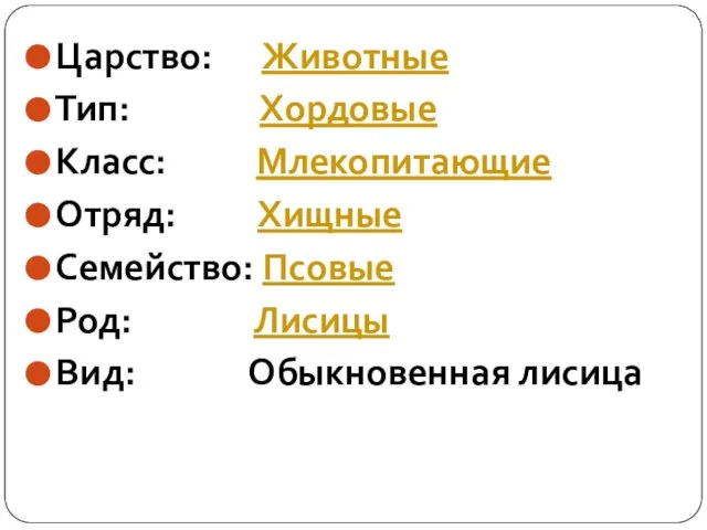 Царство: Животные Тип: Хордовые Класс: Млекопитающие Отряд: Хищные Семейство: Псовые Род: Лисицы Вид: Обыкновенная лисица