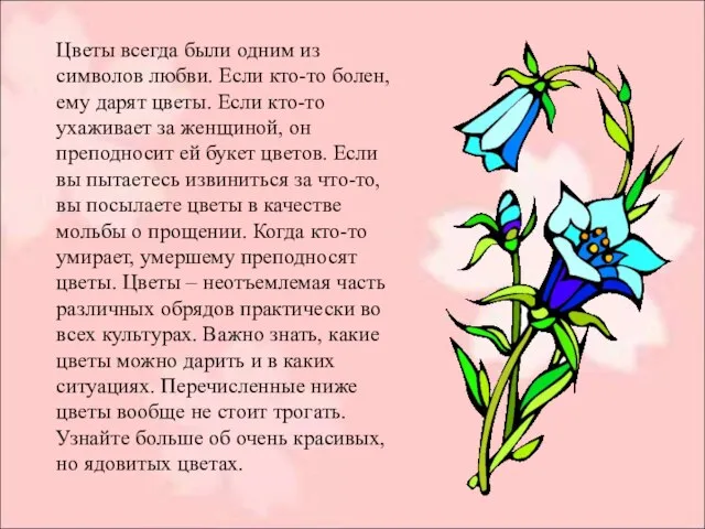 Цветы всегда были одним из символов любви. Если кто-то болен, ему дарят