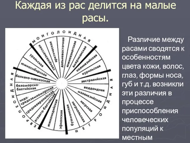 Каждая из рас делится на малые расы. Различие между расами сводятся к