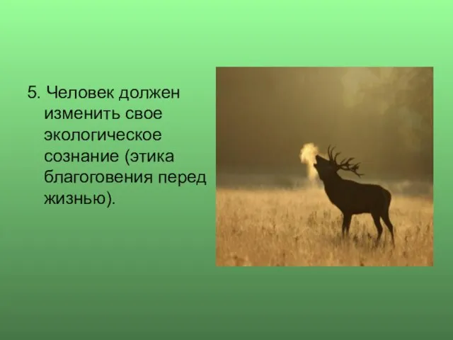 5. Человек должен изменить свое экологическое сознание (этика благоговения перед жизнью).