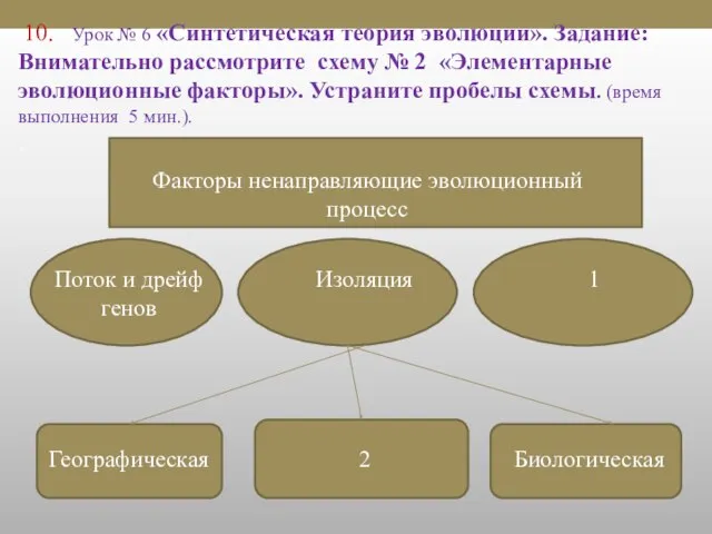 10. Урок № 6 «Синтетическая теория эволюции». Задание: Внимательно рассмотрите схему №