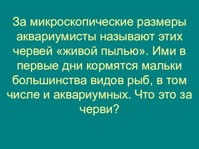 За микроскопические размеры аквариумисты называют этих червей «живой пылью». Ими в первые