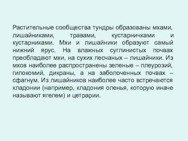 Растительные сообщества тундры образованы мхами, лишайниками, травами, кустарничками и кустарниками. Мхи и