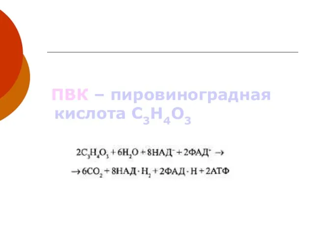 ПВК – пировиноградная кислота С3Н4О3