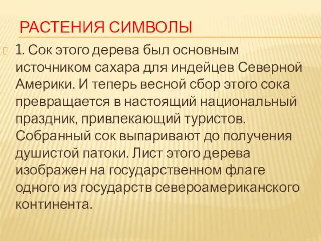 Растения символы 1. Сок этого дерева был основным источником сахара для индейцев