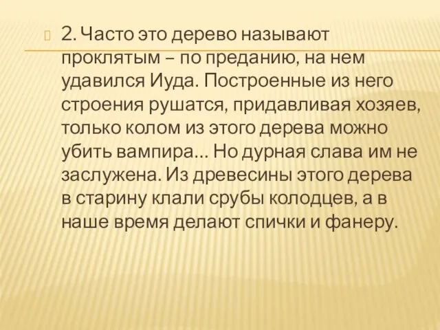 2. Часто это дерево называют проклятым – по преданию, на нем удавился