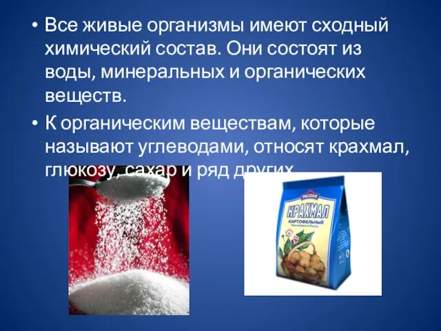 Все живые организмы имеют сходный химический состав. Они состоят из воды, минеральных