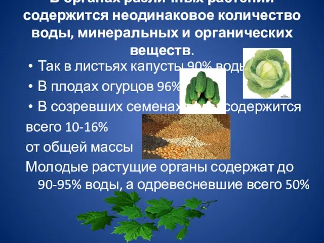 В органах различных растений содержится неодинаковое количество воды, минеральных и органических веществ.