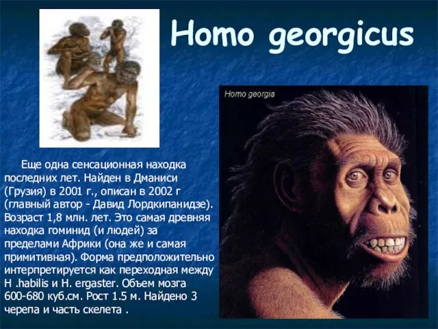 Homo georgicus Еще одна сенсационная находка последних лет. Найден в Дманиси (Грузия)