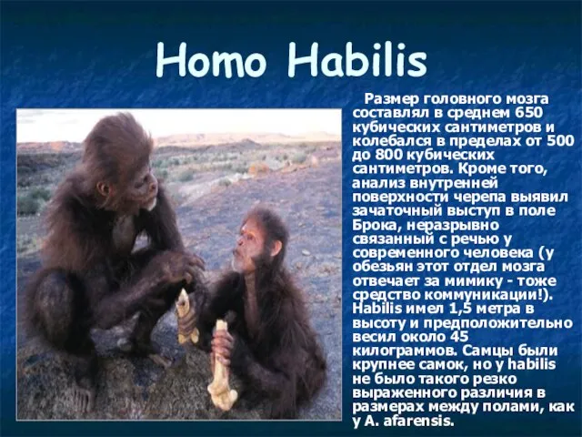 Homo Habilis Размер головного мозга составлял в среднем 650 кубических сантиметров и