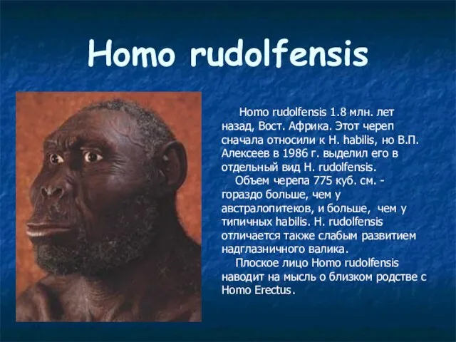 Homo rudolfensis Homo rudolfensis 1.8 млн. лет назад, Вост. Африка. Этот череп