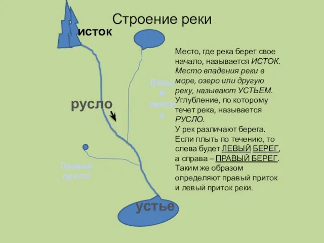 Строение реки исток устье Левый приток Правый приток Место, где река берет