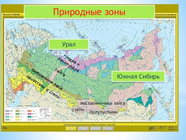 Природные зоны Урал Южная Сибирь тундра и лесотундра тайга смешанные леса лесостепи