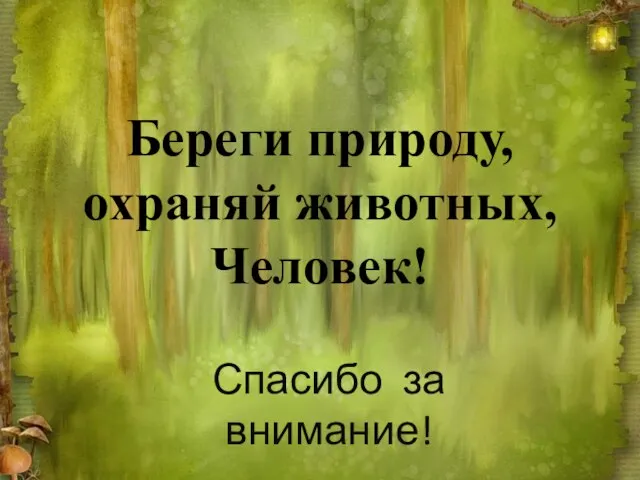 Береги природу, охраняй животных, Человек! Спасибо за внимание!