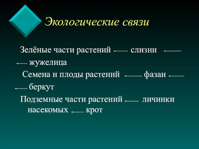 Экологические связи Зелёные части растений слизни жужелица Семена и плоды растений фазан