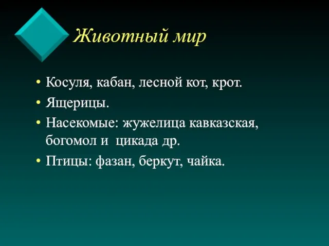 Животный мир Косуля, кабан, лесной кот, крот. Ящерицы. Насекомые: жужелица кавказская, богомол