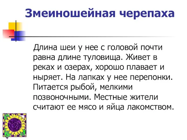 Змеиношейная черепаха Длина шеи у нее с головой почти равна длине туловища.