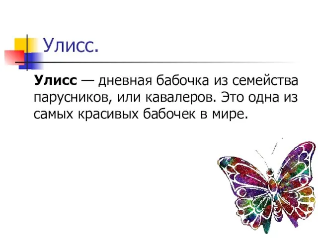 Улисс. Улисс — дневная бабочка из семейства парусников, или кавалеров. Это одна