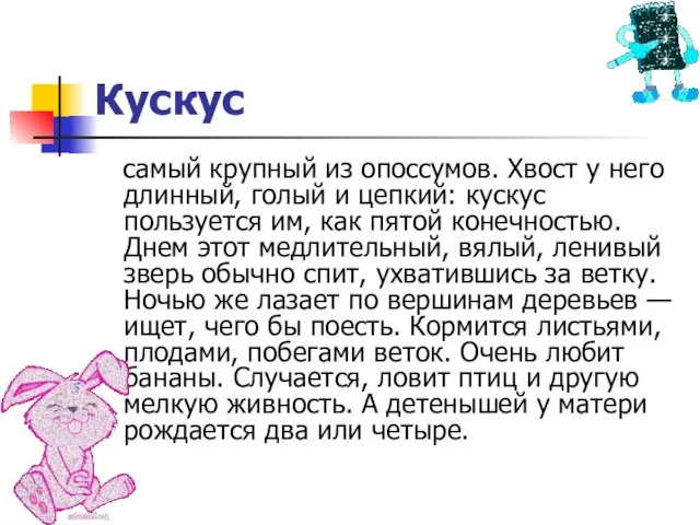 Кускус самый крупный из опоссумов. Хвост у него длинный, голый и цепкий: