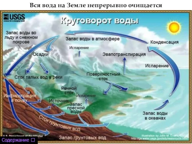 Вся вода на Земле непрерывно очищается Содержание ⭡