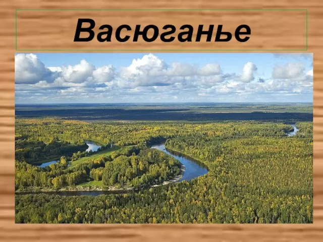 Васюганье Географическая область, лежащая в междуречье Оби и Иртыша. S=53тыс.км² Москва и Московская область