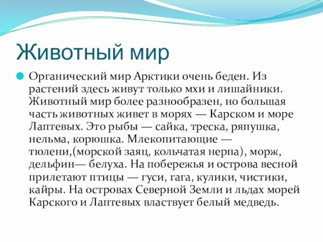 Животный мир Органический мир Арктики очень беден. Из растений здесь живут только