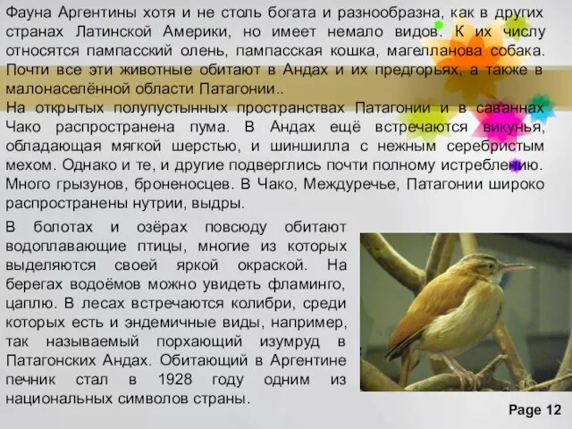 В болотах и озёрах повсюду обитают водоплавающие птицы, многие из которых выделяются