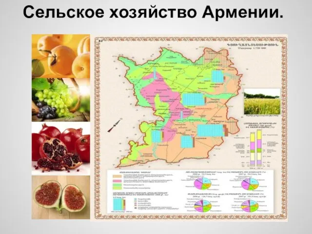 Сельское хозяйство Армении.