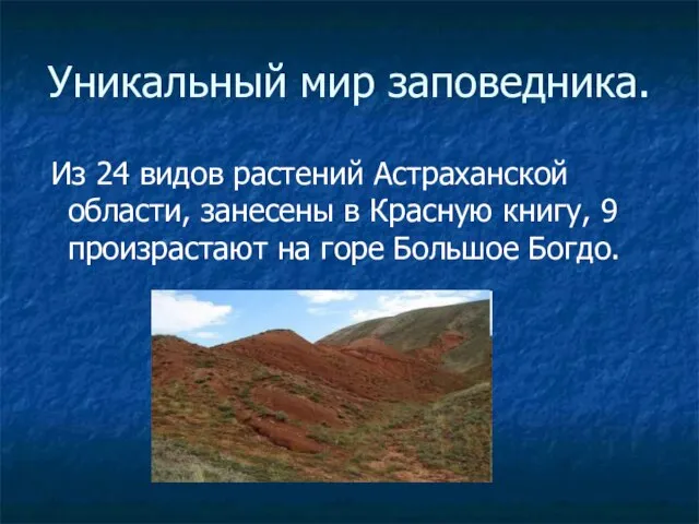 Уникальный мир заповедника. Из 24 видов растений Астраханской области, занесены в Красную