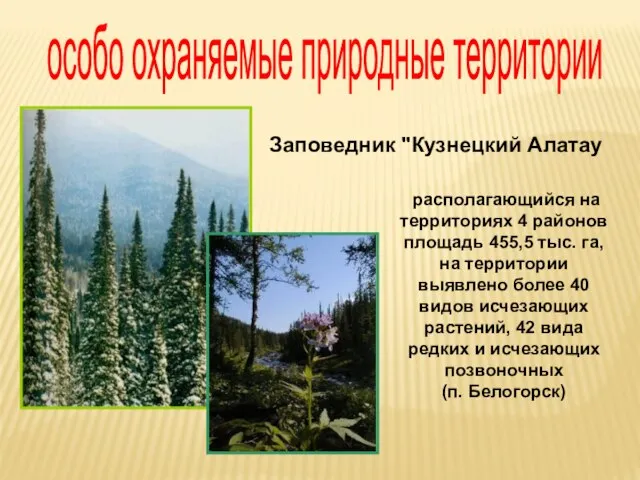 располагающийся на территориях 4 районов площадь 455,5 тыс. га, на территории выявлено