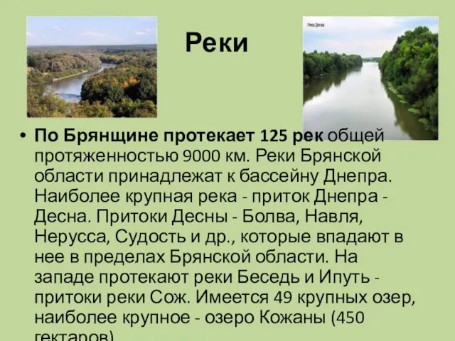 Реки По Брянщине протекает 125 рек общей протяженностью 9000 км. Реки Брянской