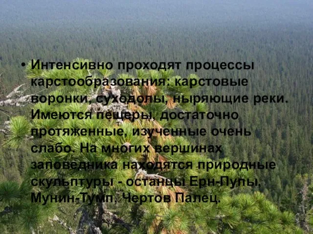 Интенсивно проходят процессы карстообразования: карстовые воронки, суходолы, ныряющие реки. Имеются пещеры, достаточно