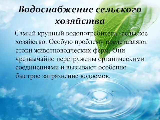 Водоснабжение сельского хозяйства Самый крупный водопотребитель -сельское хозяйство. Особую проблему представляют стоки