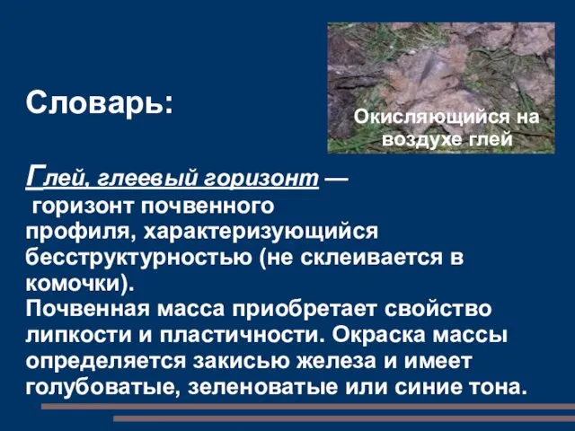 Словарь: Глей, глеевый горизонт — горизонт почвенного профиля, характеризующийся бесструктурностью (не склеивается