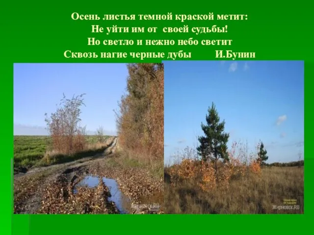 Осень листья темной краской метит: Не уйти им от своей судьбы! Но