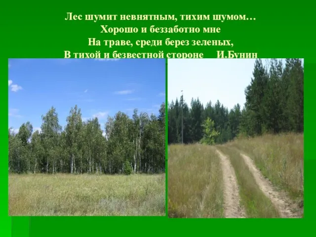 Лес шумит невнятным, тихим шумом… Хорошо и беззаботно мне На траве, среди