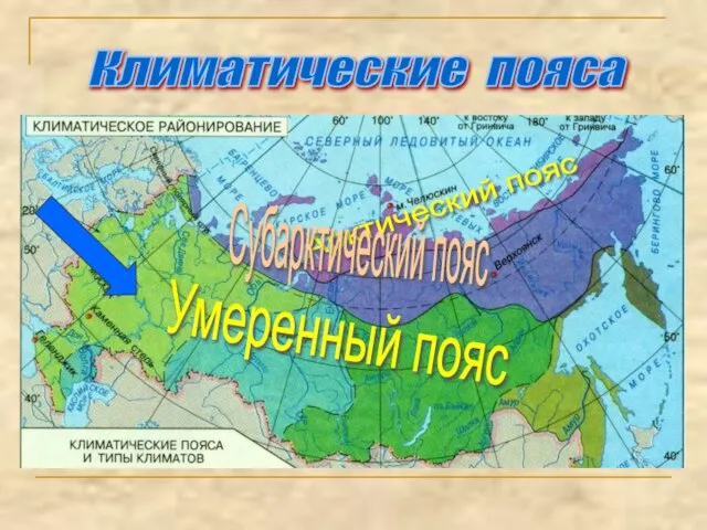 Арктический пояс Субарктический пояс Умеренный пояс Климатические пояса