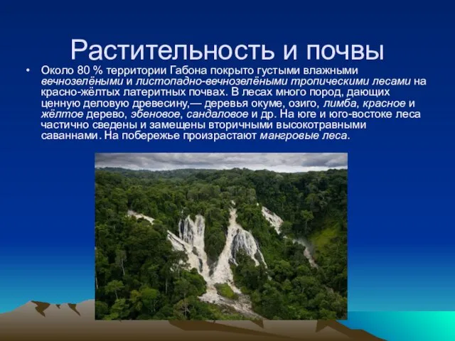 Растительность и почвы Около 80 % территории Габона покрыто густыми влажными вечнозелёными