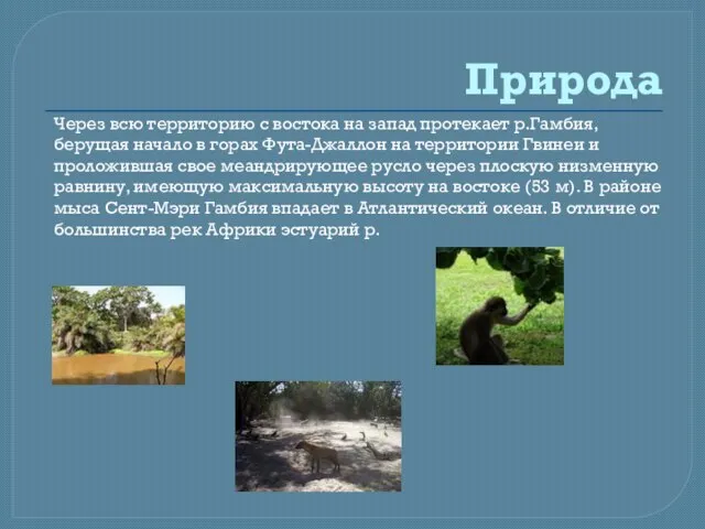 Природа Через всю территорию с востока на запад протекает р.Гамбия, берущая начало