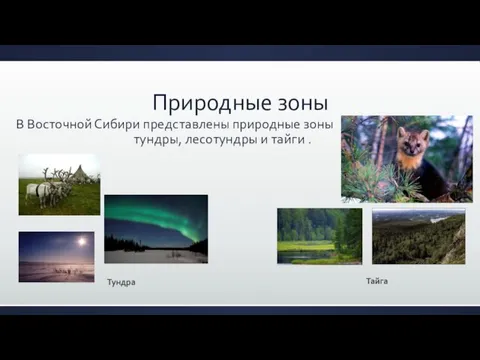 Природные зоны В Восточной Сибири представлены природные зоны тундры, лесотундры и тайги . Тундра Тайга