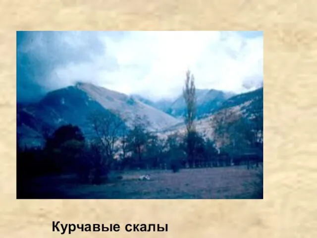 Курчавые скалы