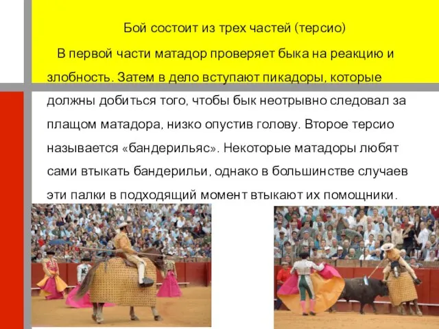 Бой состоит из трех частей (терсио) В первой части матадор проверяет быка