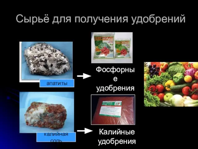 Сырьё для получения удобрений апатиты калийная соль Фосфорные удобрения Калийные удобрения