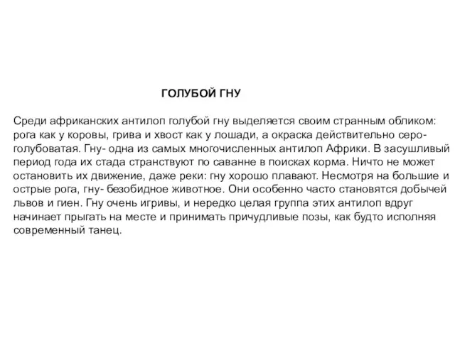 ГОЛУБОЙ ГНУ Среди африканских антилоп голубой гну выделяется своим странным обликом: рога