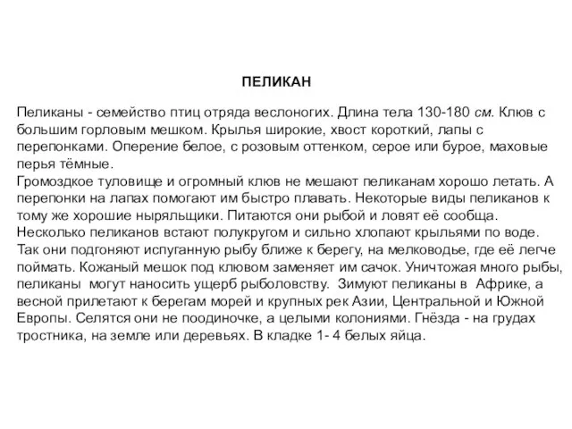 Пеликаны - семейство птиц отряда веслоногих. Длина тела 130-180 см. Клюв с