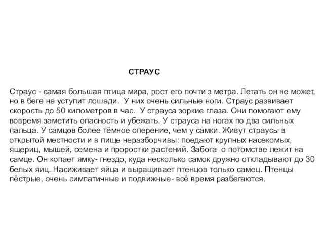 СТРАУС Страус - самая большая птица мира, рост его почти з метра.