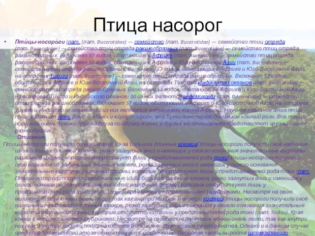 Птица насорог Пти́цы-носоро́ги (лат. (лат. Bucerotidae) — семейство (лат. Bucerotidae) — семейство